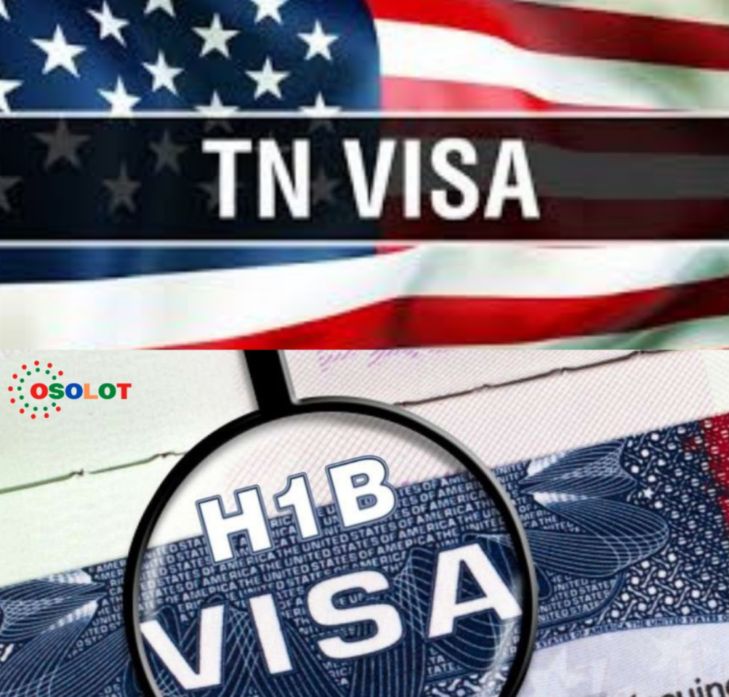 what-is-tn-visa